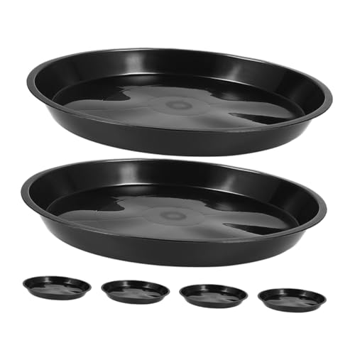 Toyvian 6 Stück Pflanzuntersetzer Rund Schwarz Stabile Kunststoff Blumentopf abtropfschale Pflegeleichte Wasserauffangschale für Zimmerpflanzen Sukkulenten Kakteen für Innen Außenbereich Toyvian 6 Stück Pflanzuntersetzer Rund Schwarz Stabile Kunststoff Blumentopf abtropfschale Pflegeleichte Wasserauffangschale für Zimmerpflanzen Sukkulenten Kakteen für Innen Außenbereich von Toyvian