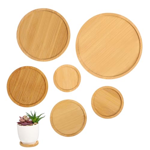 Toyvian 6 Stück Teiliges Blumentopf Untersetzer Runde Pflanzenunterlage Wasserfest Langlebig Dekorativ Praktische Blumentopf Basis für Saubere Oberflächen Toyvian 6 Stück Teiliges Blumentopf Untersetzer Runde Pflanzenunterlage Wasserfest Langlebig Dekorativ Praktische Blumentopf Basis für Saubere Oberflächen von Toyvian