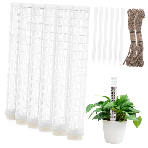 Toyvian 6 Stück Teiliges Moosstäbe mit Kunststoffsäulen und Seil für Monstera Rankhilfe Senkrechte Pflanzenstütze für Zimmerpflanzen Stapelbar Geeignet für Kletterpflanzen und Indoor Toyvian 6 Stück Teiliges Moosstäbe mit Kunststoffsäulen und Seil für Monstera Rankhilfe Senkrechte Pflanzenstütze für Zimmerpflanzen Stapelbar Geeignet für Kletterpflanzen und Indoor von Toyvian