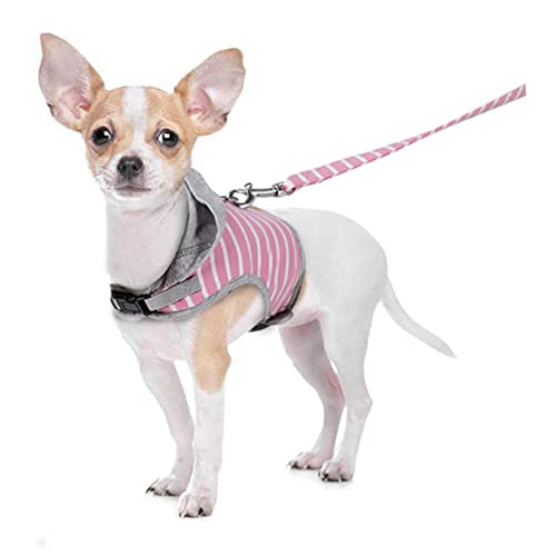 Toyvian Atmungsaktives Katzen Geschirr mit Leine Verstellbares Softgeschirr mit Schnellverschluss Bequemes Brustgeschirr für Kleine Katzen Spazierengehen Joggen und Training von Toyvian