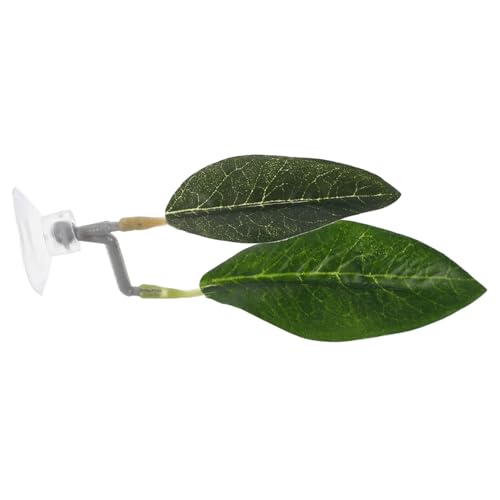 Toyvian Betta Fish Leaf Hammock Schwimmendes Kunststoff Blattbett für Ruhe und Zucht Aquarium Dekoration Kunstpflanze für Kampffisch Zucht und Pflege Toyvian Betta Fish Leaf Hammock Schwimmendes Kunststoff Blattbett für Ruhe und Zucht Aquarium Dekoration Kunstpflanze für Kampffisch Zucht und Pflege von Toyvian