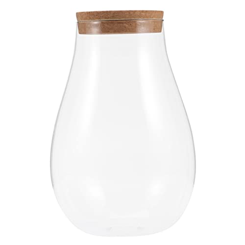 Toyvian Bryophyte Micro Landscape Glasflasche mit Holzverschluss DIY Flaschengarten für Zimmerpflanzen Dekoration Natürlicher Stil Langlebig Robust von Toyvian