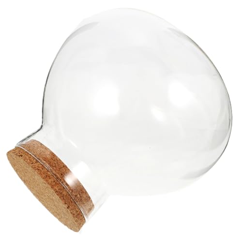 Toyvian DIY Mikrolandschaft Glasflasche mit Korken Runde Ökologische Flasche für Sukkulenten und Luftpflanzen Wiederverwendbarer DIY Flaschengarten Dekoratives Terrarium ohne Licht Toyvian DIY Mikrolandschaft Glasflasche mit Korken Runde Ökologische Flasche für Sukkulenten und Luftpflanzen Wiederverwendbarer DIY Flaschengarten Dekoratives Terrarium ohne Licht von Toyvian