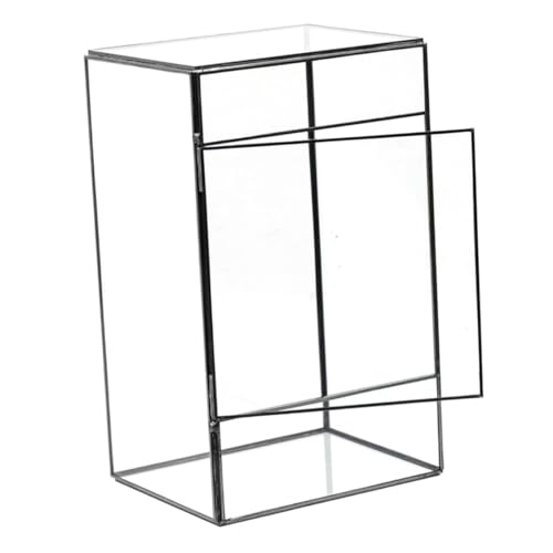 Toyvian Desktop -Landschaftstank Terrarien Pflanzen selbst rechteckig drinnen Anlage Landschaftsbehälter Moos -Terrarium Gla -Terrarium Ökosystem Terrarium saftiges Terrarium Glas Toyvian Desktop -Landschaftstank Terrarien Pflanzen selbst rechteckig drinnen Anlage Landschaftsbehälter Moos -Terrarium Gla -Terrarium Ökosystem Terrarium saftiges Terrarium Glas von Toyvian
