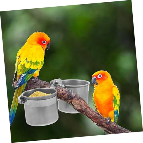 Toyvian Edelstahl Papageien Futterbehälter mit Ständer Langlebiges DIY Futterbecher Zubehör Einfache Installation Praktische Doppel Schale für Haustier Papageien Toyvian Edelstahl Papageien Futterbehälter mit Ständer Langlebiges DIY Futterbecher Zubehör Einfache Installation Praktische Doppel Schale für Haustier Papageien von Toyvian
