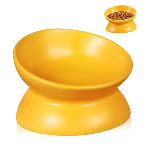Toyvian Erhöhter Katzennapf aus Keramik rutschfest Glatte Oberfläche Komfortable Fressposition Geeignet für Kleine Katzen und Hunde Leicht zu Reinigen Stilvolles Design für Innenbereiche von Toyvian