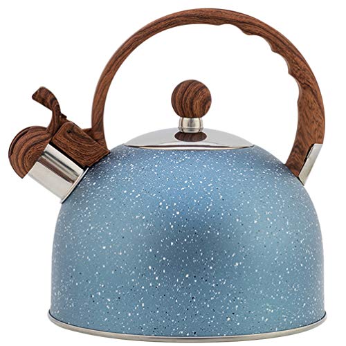 Toyvian Heizkessel ?tenkessel Pfeifenkessel Wasserkessel mit ?te 2,5Liter Kessel Vintage Induktion der Wasserkocher Camping Teekanne Kaffeekanne Wandern Picknick Blau von Toyvian