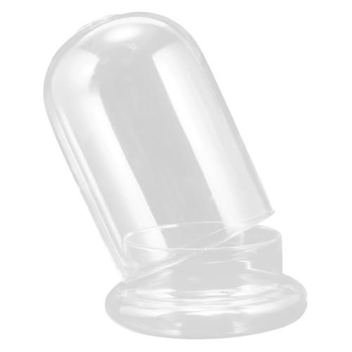 Toyvian Glaskuppel mit Holzsockel Transparente Glasglocke mit Loch Dekorative Cloche Dome für DIY Tischdekoration Langlebig und Bruchsicher von Toyvian