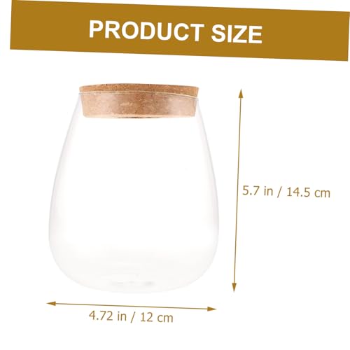 Toyvian Glass DIY Bryophyte Terrarium Flasche Wasserpflanzen Behälter Transparentes Mikrolandschaft Gefäß Modernes Design für Hydroponische Pflanzen und Dekoration Zuhause Toyvian Glass DIY Bryophyte Terrarium Flasche Wasserpflanzen Behälter Transparentes Mikrolandschaft Gefäß Modernes Design für Hydroponische Pflanzen und Dekoration Zuhause von Toyvian