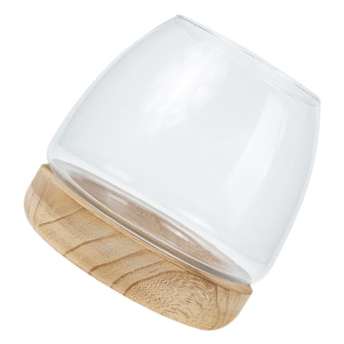 Toyvian Große Glas Pflanzschale mit Holzsockel Dekorativer Fischglasbehälter für Hydroponik und Betta Fisch Langlebiger Klarer Desktop Planter für Büro Zuhause und Garten von Toyvian