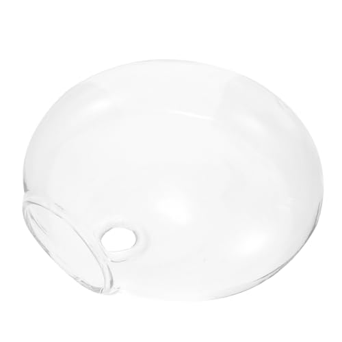 Toyvian Hängender Blumentopf Wandvase Dekorativer Terrarium Pflanzer für Balkon Geländer Platzsparend Vielseitig Verwendbar Robust Langlebig Toyvian Hängender Blumentopf Wandvase Dekorativer Terrarium Pflanzer für Balkon Geländer Platzsparend Vielseitig Verwendbar Robust Langlebig von Toyvian