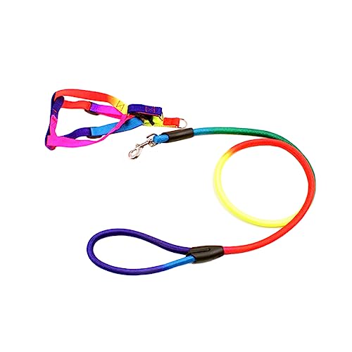 Toyvian Hundeharness für Kleine Verstellbares Atmungsaktives Geschirr aus Strapazierfähigem Modisches Design für und Jogging S Leuchtende von Toyvian
