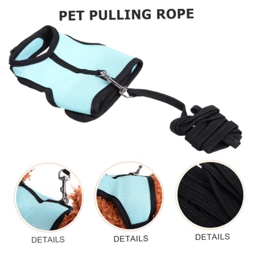 Toyvian Kleintier Geschirr und Leine für Kaninchen Atmungsaktive Leichte Laufweste Robustes Verstellbares Haustiergeschirr für Sicheren Outdoor Spaziergang mit Kleinen Nagetieren von Toyvian
