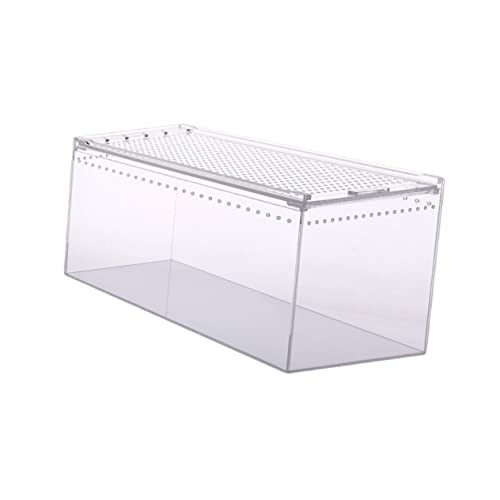 Toyvian Kletterfutterbehälter für Reptilien Transparente Zuchtbox für Spinnen Gecko Schlangen und Hornfrösche zu Reinigen Hygienisch und Komfortabel von Toyvian