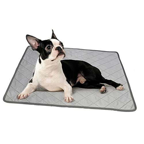 Toyvian Sommer Kühles Kissen für Haustiere Multifunktionale Kühlmatte Wasserabsorbierende Urinunterlage für Hunde Wiederverwendbar für Innenräume Toyvian Sommer Kühles Kissen für Haustiere Multifunktionale Kühlmatte Wasserabsorbierende Urinunterlage für Hunde Wiederverwendbar für Innenräume von Toyvian