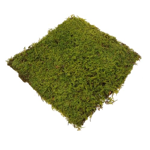 Toyvian Künstliche Moosrasen Matte Realistische Landschaftsdeko für Sandtische DIY Basteln und Modellbau Vielseitige Künstliche Grasmatte für Garten und Heimdekoration von Toyvian