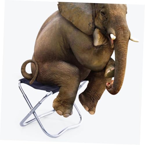 Toyvian Leichter Klappbarer Campinghocker aus Aluminiumlegierung Faltbarer Outdoor Stuhl für Angeln Reisen Grillen Tragbar und Kompakt Schwarz Silber Toyvian Leichter Klappbarer Campinghocker aus Aluminiumlegierung Faltbarer Outdoor Stuhl für Angeln Reisen Grillen Tragbar und Kompakt Schwarz Silber von Toyvian