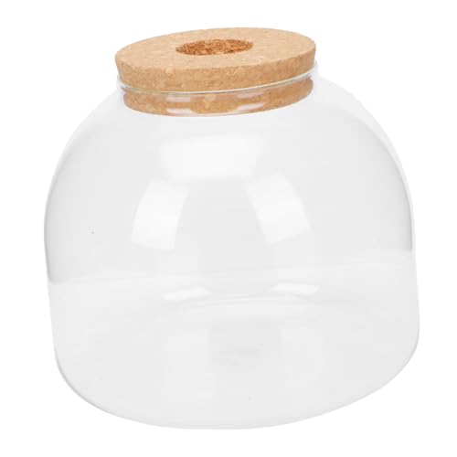 Toyvian Micro Landscape DIY Glasflasche Ökosystem Terrarium mit Holzstöpsel Langlebiger Transparenter Pflanzbehälter für Kreative Tischdekoration für Büro und Wohnzimmer Vielseitig Toyvian Micro Landscape DIY Glasflasche Ökosystem Terrarium mit Holzstöpsel Langlebiger Transparenter Pflanzbehälter für Kreative Tischdekoration für Büro und Wohnzimmer Vielseitig von Toyvian
