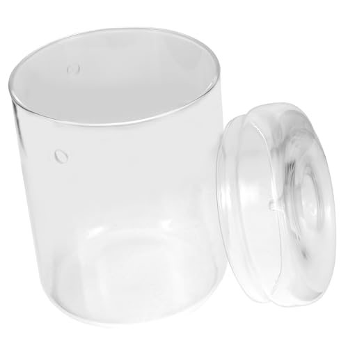 Toyvian Micro Landscape Glasflasche Terrarium Pflanzgefäß Transparent Leichtes DIY Pflanzenhalter Mini Ökologische Moospflanzen Dekoration für Schreibtisch Küche Toyvian Micro Landscape Glasflasche Terrarium Pflanzgefäß Transparent Leichtes DIY Pflanzenhalter Mini Ökologische Moospflanzen Dekoration für Schreibtisch Küche von Toyvian