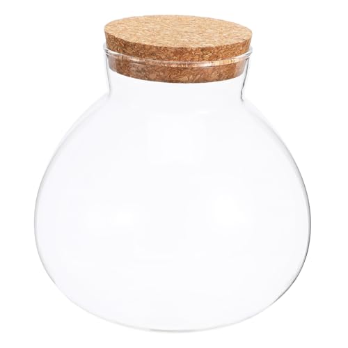 Toyvian Mikrolandschaft Glasflasche mit Korkverschluss Luftdichter Flaschengarten für DIY Mooslandschaften Dekorativ für Zuhause Büro und Geschenkideen Toyvian Mikrolandschaft Glasflasche mit Korkverschluss Luftdichter Flaschengarten für DIY Mooslandschaften Dekorativ für Zuhause Büro und Geschenkideen von Toyvian