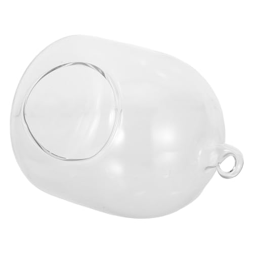 Toyvian Flaschen Terrarium Kleines Glasgefäß Mit Moos Mikrolandschaftsflasche Für Bürotisch Terrarienpflanzer Für Heimdekoration Terrarienhalter Für Kleine Terrarienpflanzen Toyvian Flaschen Terrarium Kleines Glasgefäß Mit Moos Mikrolandschaftsflasche Für Bürotisch Terrarienpflanzer Für Heimdekoration Terrarienhalter Für Kleine Terrarienpflanzen von Toyvian