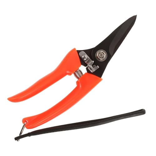 Toyvian Multi Funktions Hufschneider aus Karbonstahl Werkzeug für Trimmen von Schaf und Ziegenhufen mit Klingen und Ergonomischem Design Toyvian Multi Funktions Hufschneider aus Karbonstahl Werkzeug für Trimmen von Schaf und Ziegenhufen mit Klingen und Ergonomischem Design von Toyvian