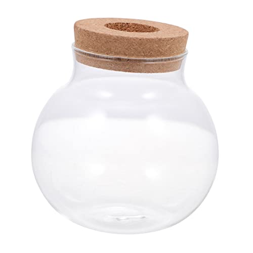 Toyvian Ökologisches Aquarium Mini Klare Ökologische Flasche Container Wasser- Fisch DIY-mikrolandschaftsflasche Aquarium Terrarium Tank Desktop-Aquarium Wasserpflanzer Glas Transparent Toyvian Ökologisches Aquarium Mini Klare Ökologische Flasche Container Wasser- Fisch DIY-mikrolandschaftsflasche Aquarium Terrarium Tank Desktop-Aquarium Wasserpflanzer Glas Transparent von Toyvian