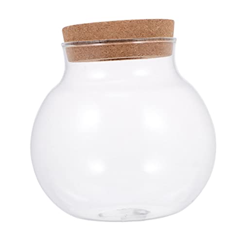 Toyvian Ökologisches Aquarium Tischplatte Container Fisch Mini Aquarium Terrarium Klare Ökologische Flasche DIY-mikrolandschaftsflasche Tank Wasser- Landschaft Flasche Transparent Glas Toyvian Ökologisches Aquarium Tischplatte Container Fisch Mini Aquarium Terrarium Klare Ökologische Flasche DIY-mikrolandschaftsflasche Tank Wasser- Landschaft Flasche Transparent Glas von Toyvian