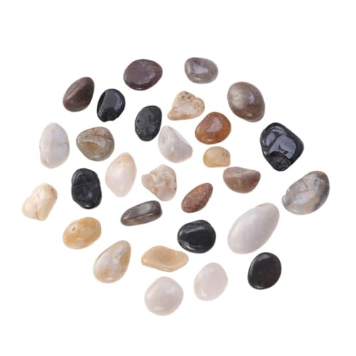 Toyvian Polierte Flusssteine Bunte Gartendekosteine für Bonsai Aquarium Springbrunnen Innen Außenbereich Sichere und Langlebige Gartengestaltung Toyvian Polierte Flusssteine Bunte Gartendekosteine für Bonsai Aquarium Springbrunnen Innen Außenbereich Sichere und Langlebige Gartengestaltung von Toyvian