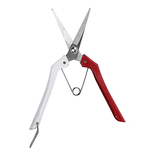 Toyvian Professionelle Gartenschere für Obstbäume Multifunktionale Rostfreie Pruningschere Hochwertigem Scharfe Ergonomisch Langlebig für Gartenarbeiten und Pflanzenschnitt von Toyvian