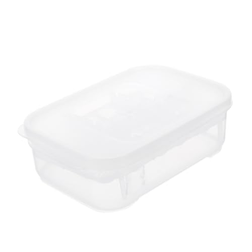 Toyvian Reptilien Brutkasten mit Doppelter Trennwand Transparenter Eier Inkubatorbox aus Gesundem Eier Kapazität Leicht und Langlebig Sichtbar für Brutkontrolle von Toyvian
