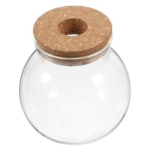 Toyvian Runder Terrarium Behälter mit Korkdeckel Mikrolandschaft für Luftpflanzen Sukkulenten Moos Dekoratives Pflanzgefäß für Zuhause und Büro Platzsparendes Design Toyvian Runder Terrarium Behälter mit Korkdeckel Mikrolandschaft für Luftpflanzen Sukkulenten Moos Dekoratives Pflanzgefäß für Zuhause und Büro Platzsparendes Design von Toyvian