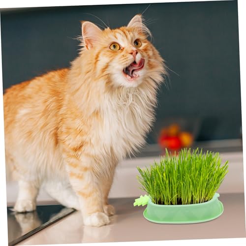 Toyvian Soilless Hydroponic Cat Grass Planter Box aus Stabilem Kunststoff Leichtes Abnehmbares Tablett Einfach zu Reinigen Fördert Gesundes Wachstum für Katzen Grünes Design Keimfreies von Toyvian