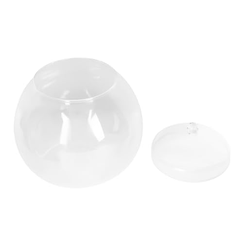 Toyvian Terrarium mit Deckel Mikrolandschaft Flasche Transparentes Aufbewahrungsgefäß für Moos Pflanzen Multifunktional als Wohn und Bürodekoration DIY Landschaftsflasche Toyvian Terrarium mit Deckel Mikrolandschaft Flasche Transparentes Aufbewahrungsgefäß für Moos Pflanzen Multifunktional als Wohn und Bürodekoration DIY Landschaftsflasche von Toyvian