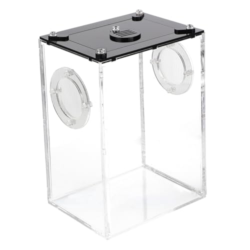 Toyvian Transparente Kunststoff Reptilienbox mit Belüftung Ausbruchsicher und Tragbar Geeignet für Echsen Chamäleons Spinnen und Kleine Reptilien Leichtes Terrarium für Zuhause und von Toyvian