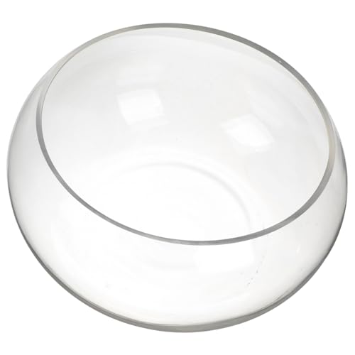 Toyvian Transparente Runde Fischschale aus Glas Dekorative Goldfischschale und Einfache Desktop Aquarienvase Vielseitig als Hydroponik Pflanzgefäß für Büro und Wohnraumdeko Geeignet von Toyvian