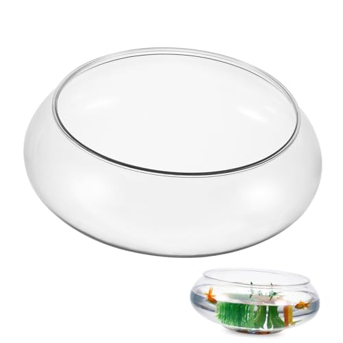 Toyvian Transparenter Aquarium Kunststoff Betta Fischglas Dekorativ Eleganter Desktop Pflanzentopf Modern Für Zuhause Büro Tischdekoration Toyvian Transparenter Aquarium Kunststoff Betta Fischglas Dekorativ Eleganter Desktop Pflanzentopf Modern Für Zuhause Büro Tischdekoration von Toyvian