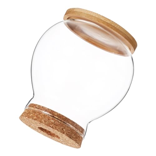 Toyvian Transparenter Kleiner Hydroponik Fischglas Terrarium mit Holzdeckel Dekoratives Mini Aquarium für Schreibtisch Betta Fischbecken für Büro und Zuhause Pflegeleicht Kompakt von Toyvian