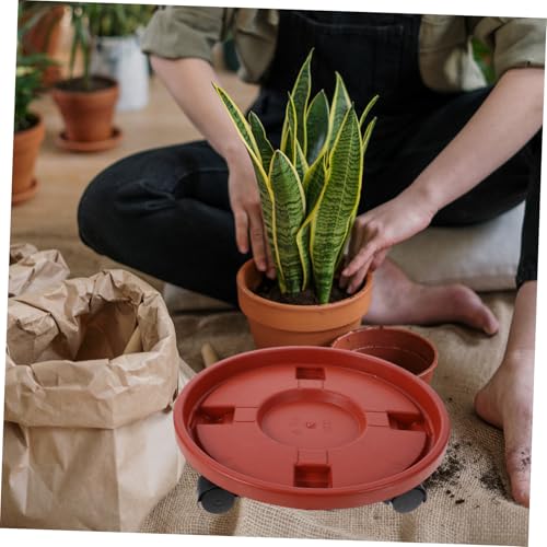 Toyvian Verstärktes Rundes Blumentopf tablett mit Drehbaren Bodenschonenden Belastbarer Pflanztopf Roller für Drinnen und Draußen Stabiler Pflanzenständer für Garten Balkon Terrasse Toyvian Verstärktes Rundes Blumentopf tablett mit Drehbaren Bodenschonenden Belastbarer Pflanztopf Roller für Drinnen und Draußen Stabiler Pflanzenständer für Garten Balkon Terrasse von Toyvian