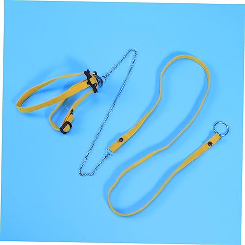 Toyvian Verstellbares Haustiergeschirr für Reptilien mit Metallring Outdoor Trainingsleine für Schildkröten und Eidechsen Gelbe Leine für Sicheres Spaziergehen und Anlegen Toyvian Verstellbares Haustiergeschirr für Reptilien mit Metallring Outdoor Trainingsleine für Schildkröten und Eidechsen Gelbe Leine für Sicheres Spaziergehen und Anlegen von Toyvian