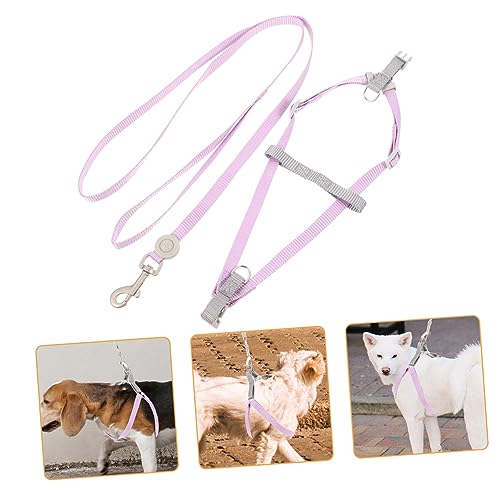 Toyvian Verstellbares Hundegeschirr und Leine Set für Welpen Leichtes Komfortables Geschirr mit Doppelt D Ring Geeignet für Spaziergänge und Outdoor Aktivitäten Einfache Handhabung Toyvian Verstellbares Hundegeschirr und Leine Set für Welpen Leichtes Komfortables Geschirr mit Doppelt D Ring Geeignet für Spaziergänge und Outdoor Aktivitäten Einfache Handhabung von Toyvian