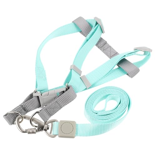 Toyvian Verstellbares Hundegeschirr und Leine Set für Welpen und Kleine Hunde Leichtes Fluchtfestes Zuggeschirr mit Doppel d Ring Komfortabel und Einhändig Bedienbar Geeignet für Mittlere Toyvian Verstellbares Hundegeschirr und Leine Set für Welpen und Kleine Hunde Leichtes Fluchtfestes Zuggeschirr mit Doppel d Ring Komfortabel und Einhändig Bedienbar Geeignet für Mittlere von Toyvian