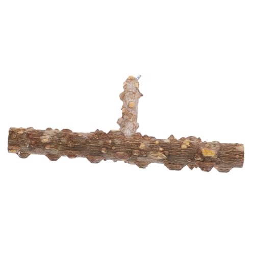 Toyvian Vogelspielzeug Holz Sitzstange für Papageien Stabile Natürliche Vogelkäfig Perche mit Langlebigem Ungiftigem Naturholz für Wellensittiche und Kleine Papageien Toyvian Vogelspielzeug Holz Sitzstange für Papageien Stabile Natürliche Vogelkäfig Perche mit Langlebigem Ungiftigem Naturholz für Wellensittiche und Kleine Papageien von Toyvian