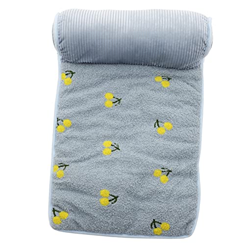 Toyvian Yunduofeng Pet Matte Decke Unterlage Katzenbett Kissen NICKERCHEN Verschleißfestes Haustiernest Heimtierbett bequemes Hundenest Haustierschlafmatte Innenbett Tuch von Toyvian
