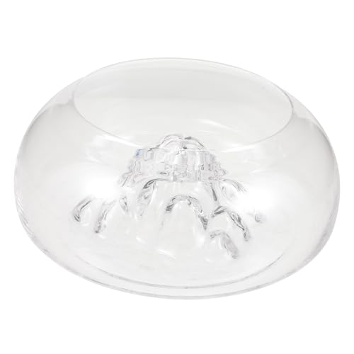 Transparente Glasfischschale Aquarium für Fische Garnelen Schildkröten und Pflanzen Kompakte und Dekorative Lösung von Toyvian