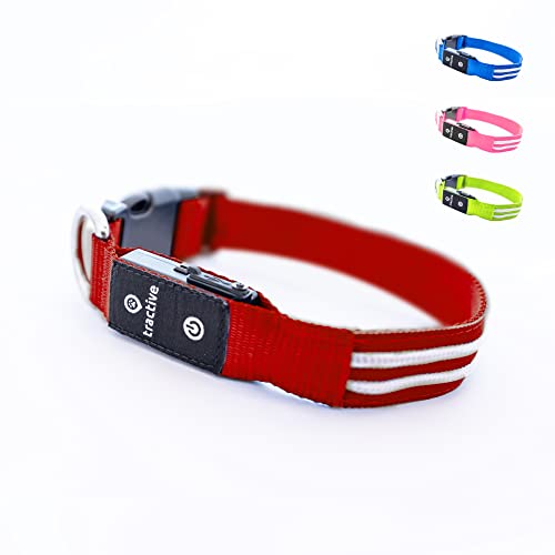 Tractive LED-Leuchthalsband für Hunde. Per USB aufladbar. Wasserdicht (Rot, S) von Tractive