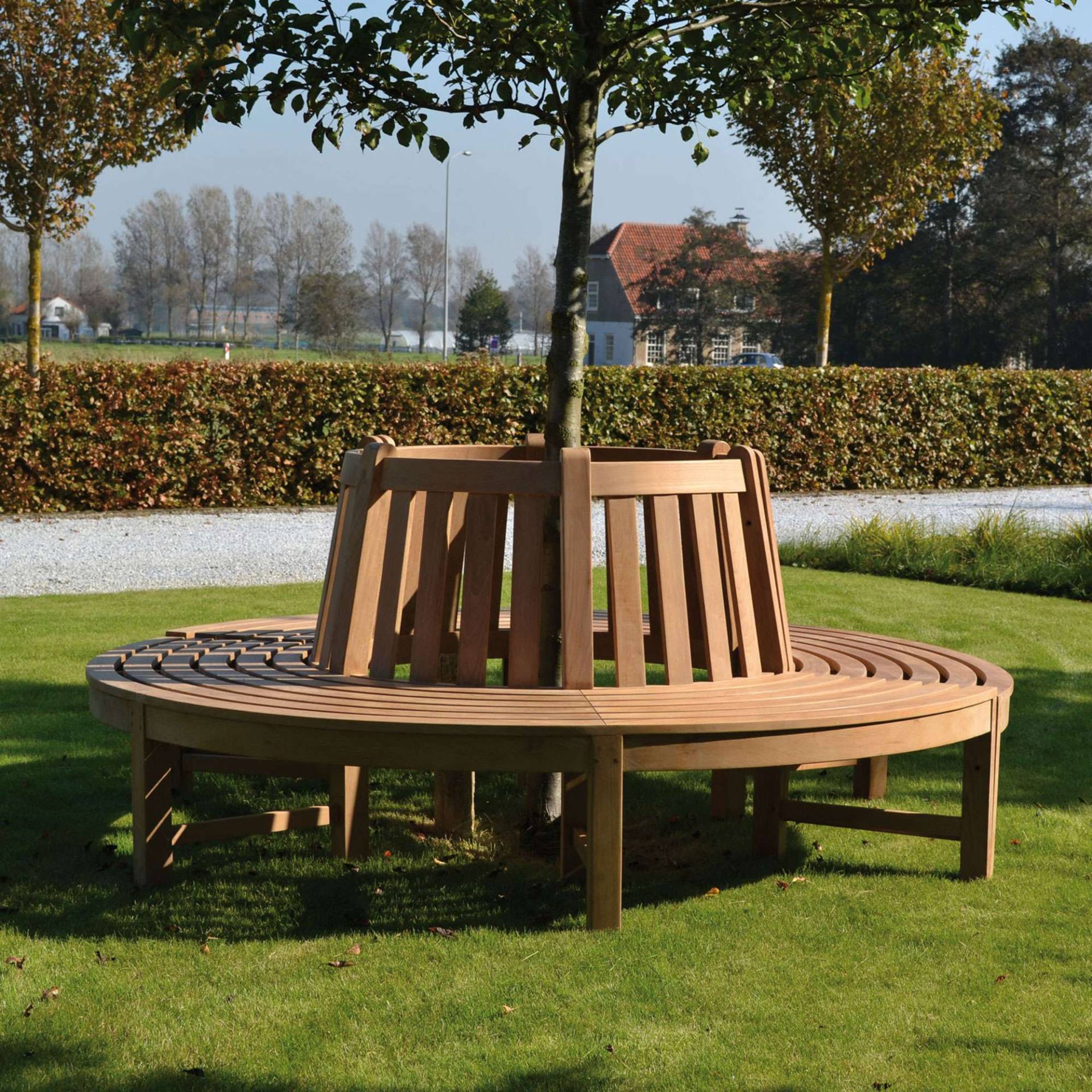 Traditional Teak - Beatrice - Design Outdoor Baumbank aus Massivholz von Traditional Teak