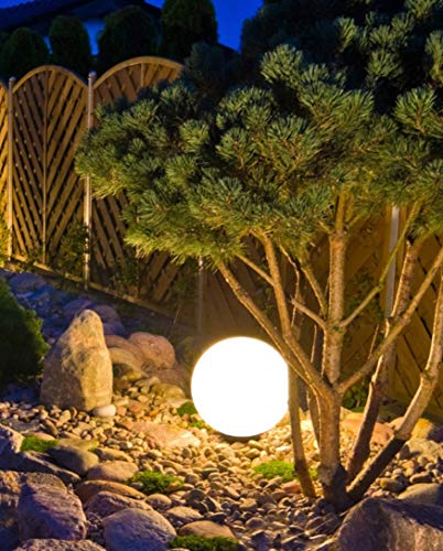 Trango 1er Set 300WB IP65 Gartenkugel in Weiß matt 30cm Durchmesser inkl. je 1x E27 LED Leuchtmittel *SNOW* Kugelleuchte inkl. ca. 5 Meter IP44 Kabel Gartenleuchte, Leuchtkugel, Wegleuchte, Kugellampe Trango 1er Set 300WB IP65 Gartenkugel in Weiß matt 30cm Durchmesser inkl. je 1x E27 LED Leuchtmittel *SNOW* Kugelleuchte inkl. ca. 5 Meter IP44 Kabel Gartenleuchte, Leuchtkugel, Wegleuchte, Kugellampe von Trango