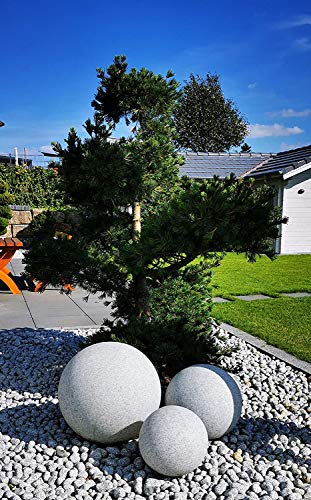 Trango 3er Set 253050GB in 25/30/50cm Durchmesser IP65 LED Gartenkugel inkl. je 1x 4 Watt E27 LED Leuchtmittel & ca. 5 Meter IP44 Kabel in Granitstein-Optik *NATURE* Kugelleuchte, Gartenleuchte Trango 3er Set 253050GB in 25/30/50cm Durchmesser IP65 LED Gartenkugel inkl. je 1x 4 Watt E27 LED Leuchtmittel & ca. 5 Meter IP44 Kabel in Granitstein-Optik *NATURE* Kugelleuchte, Gartenleuchte von Trango