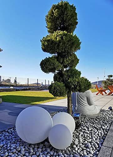 Trango 3er Set 34500W IP65 Gartenkugel in Weiß matt mit 30/40/50cm Durchmesser *SNOW* Kugelleuchte inkl. je 1x ca. 5 Meter IP44 Kabel Gartenleuchte, Leuchtkugel, Kugelleuchte Trango 3er Set 34500W IP65 Gartenkugel in Weiß matt mit 30/40/50cm Durchmesser *SNOW* Kugelleuchte inkl. je 1x ca. 5 Meter IP44 Kabel Gartenleuchte, Leuchtkugel, Kugelleuchte von Trango